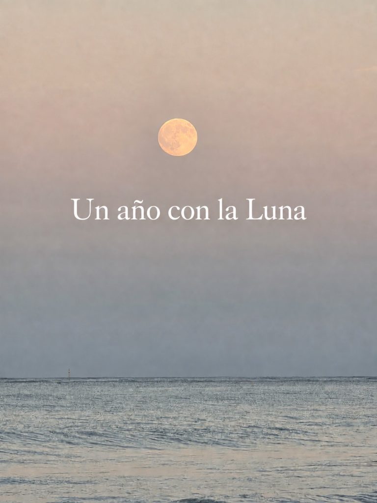 Portada de Un año con la Luna sobre el mar.
